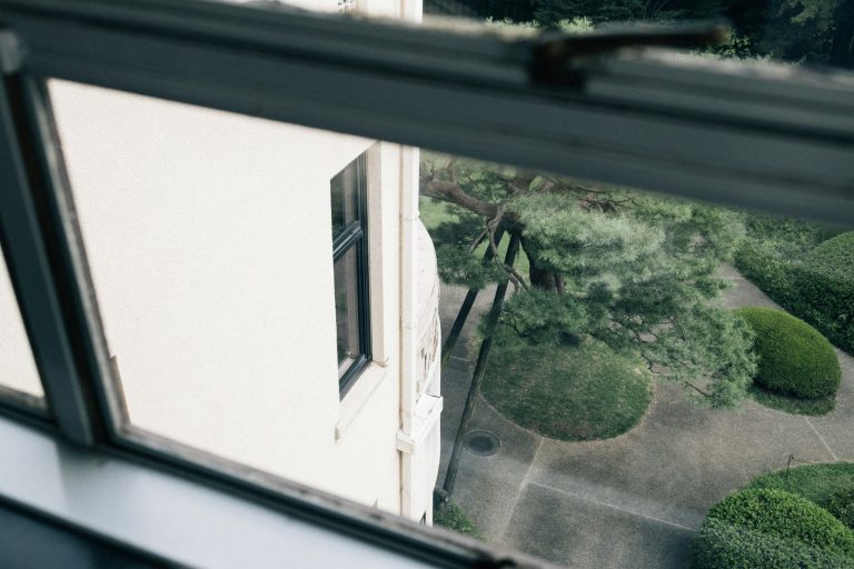 View through a window of a building and garden