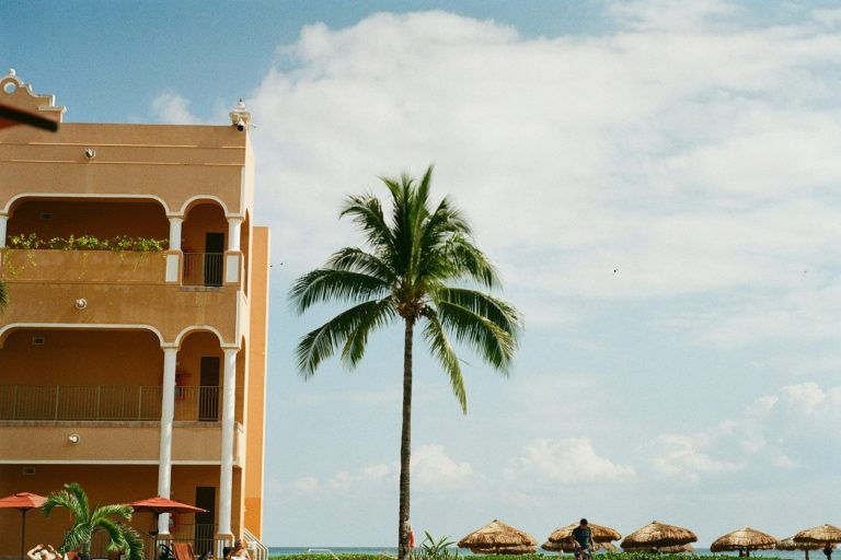 Building and palm tree by the ocean with umbrellas