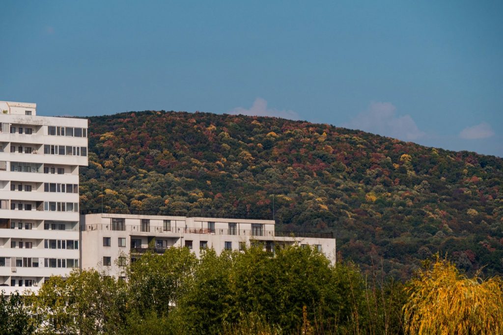 Modern buildings near a tree-covered hill