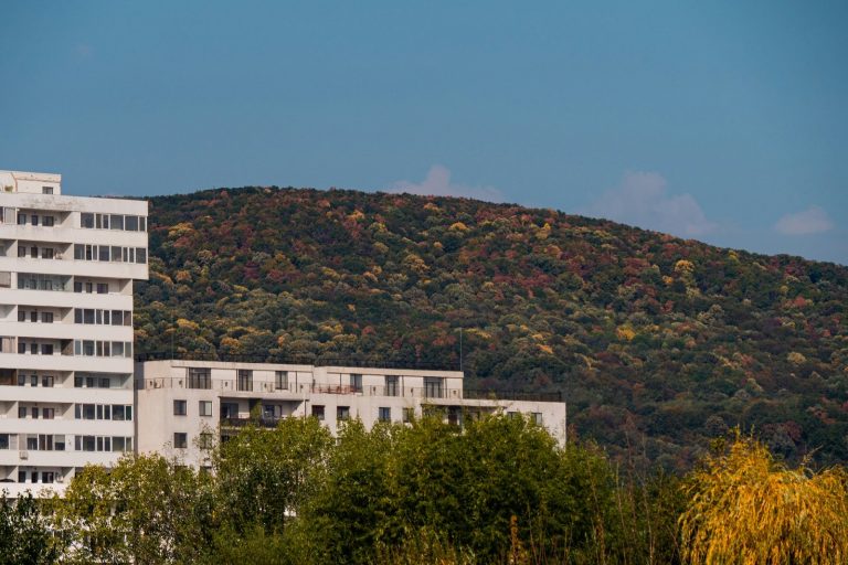 Modern buildings near a tree-covered hill