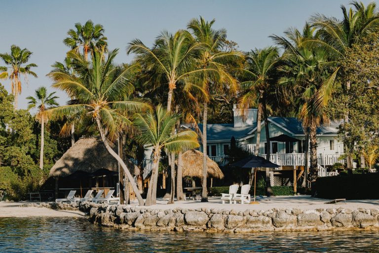 Tropical waterfront property with palm trees and tiki huts.
