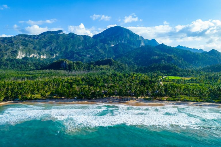 Stunning aerial view of tropical beach and lush mountains in Palawan, Philippines, under a clear blue sky.