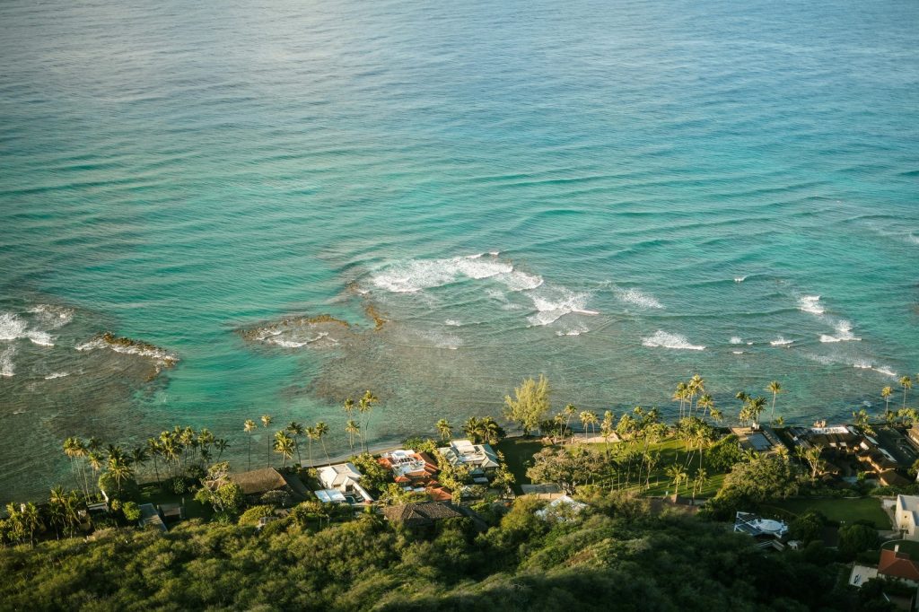 Coastal homes nestled among lush green trees near ocean